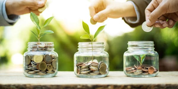 business loan money plant