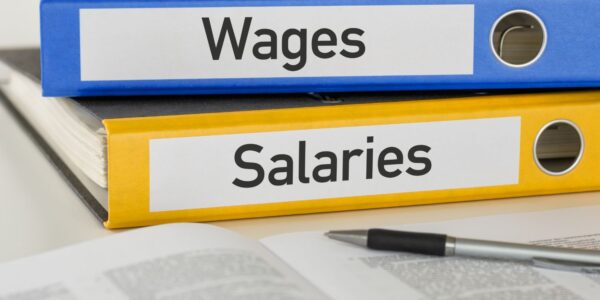 A blue folder with 'wages' written down the spine, and a yellow folder with 'salaries' written down the spine.